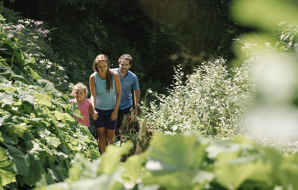 Familienwanderung